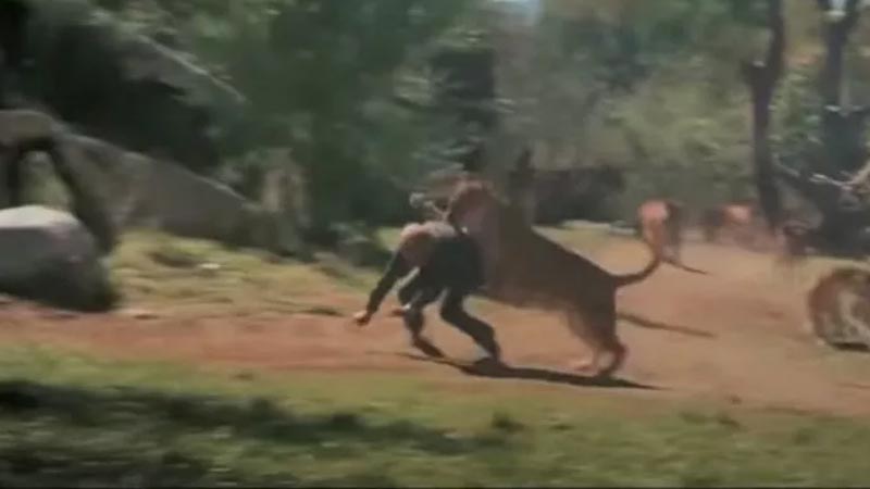 Film gerçeğe dönüştü! Başrol oyuncusuna saldırdı