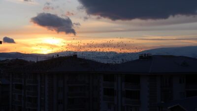 Korku filmi gibi! Gerçek oldu…