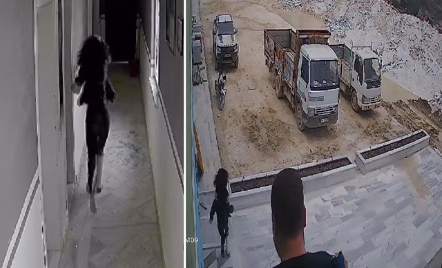 Maden mühendisi kadın dehşeti yaşadı