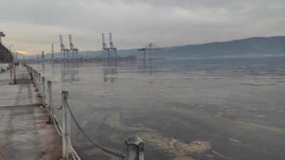 Deniz üzerinde siyah tabaka! 1 kilometreyi buldu