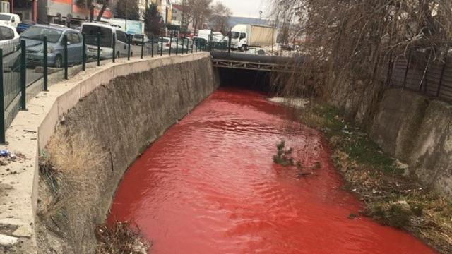 Korkutan görüntü: Kırmızıya boyandı