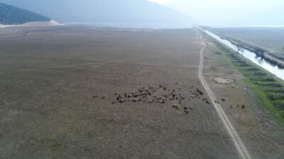 50 yılda kurudu! Marmara Denizi büyüklüğünde…