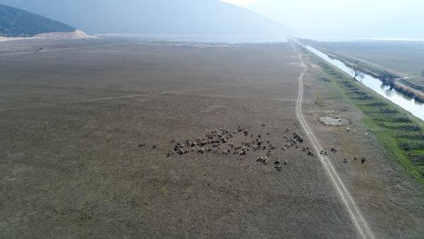 50 yılda kurudu! Marmara Denizi büyüklüğünde… 50 yılda kurudu! Marmara Denizi büyüklüğünde…