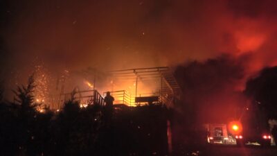 Bursa’da korkutan yangın! Nedeni ortaya çıktı…