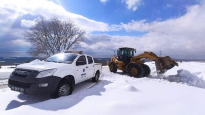 Beyaz esarete geçit yok