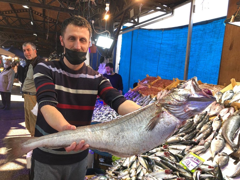 Bursa’da tam 6 kiloluk! Görenler gözlerine inanamadı
