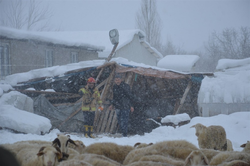 Bursa’da ahırın çatısı çöktü! Onlarca küçükbaş göçük altında kaldı Bursa’da ahırın çatısı çöktü! Onlarca küçükbaş göçük altında kaldı