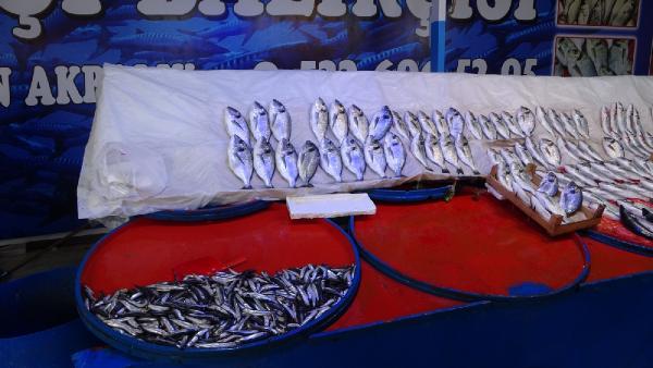 Bursa’da karlı ve fırtınalı hava, balık fiyatlarını yükseltti