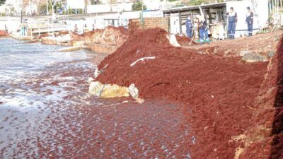 Sahil kırmızıya büründü