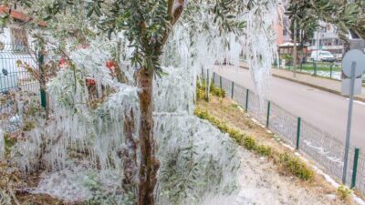 Bursa’da hortumdan fışkıran su, ağaçlarda sarkıt oluşturdu