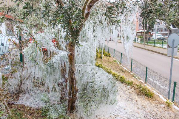 Bursa’da hortumdan fışkıran su, ağaçlarda sarkıt oluşturdu Bursa’da hortumdan fışkıran su, ağaçlarda sarkıt oluşturdu