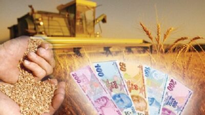 Tarımdan büyük kaçış! Ekip, biçen köylü nerede?