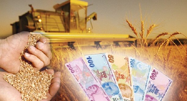 Tarımdan büyük kaçış! Ekip, biçen köylü nerede?