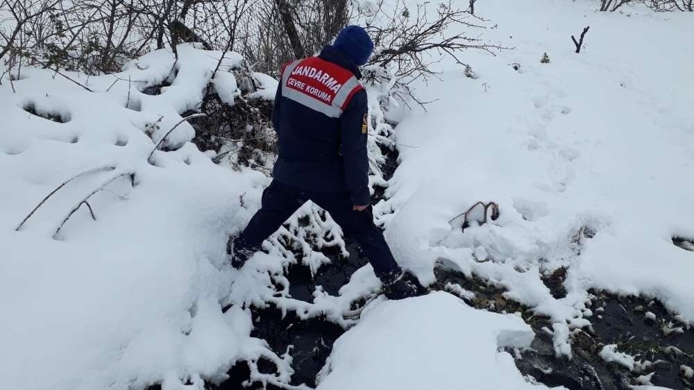 Bursa’da dereyi kirleten zeytinyağı fabrikasına ceza