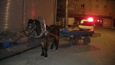 Yer: Bursa… At arabasını bırakıp kaçtılar