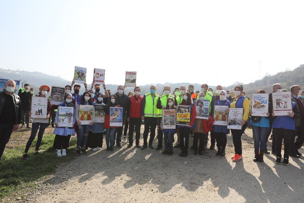 Gönüllüler sokak hayvanları için sokaklara indi