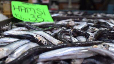 Kar ve fırtına hamsi fiyatını artırdı