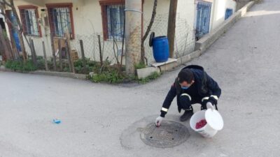 Haşerelere karşı ilaçlama