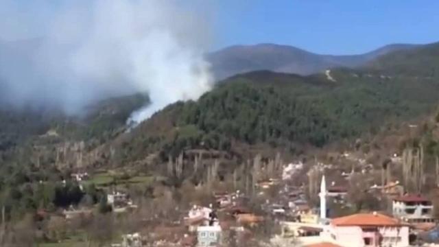 Hatay’da örtü yangını