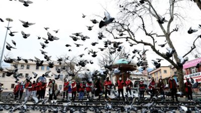 Hayvan sevgisine yasak yok