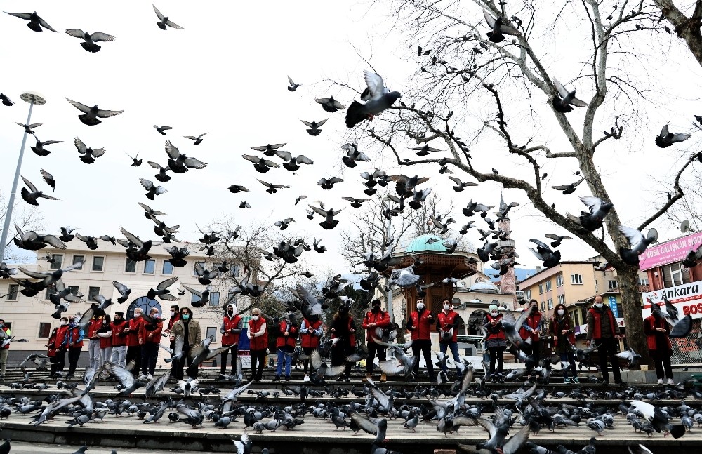 Hayvan sevgisine yasak yok