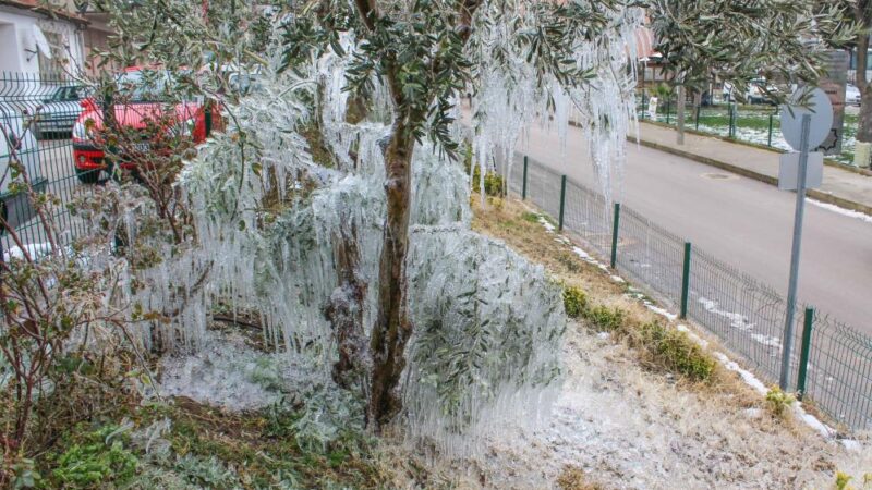 Bursa'da patlayan su hortumundan çıkan sular, soğuk havayla birlikte ortaya