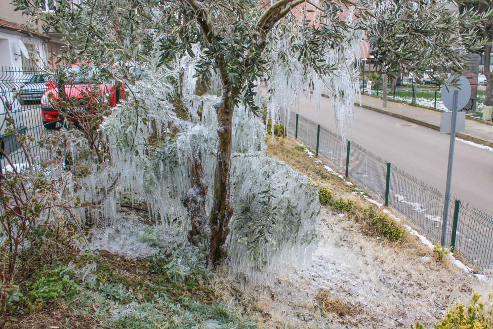 Bursa’da inanılmaz görüntü! Bursa’da inanılmaz görüntü!