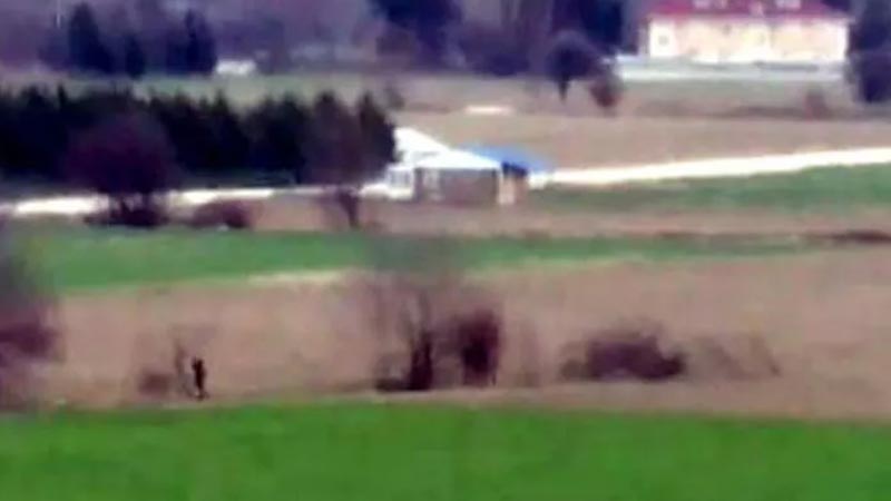 İğrenç olay! Köpeğe cinsel saldırıda bulundu