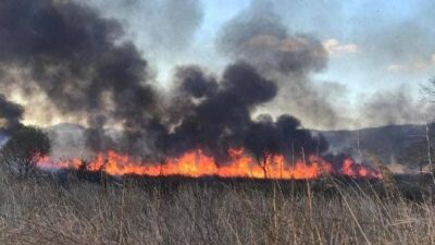 Bursa’da korkutan yangın