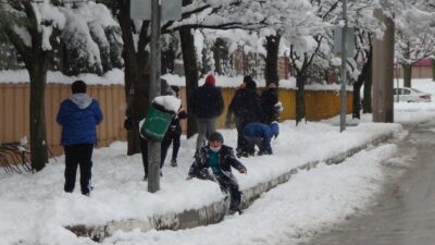 Bursa’da kar yağışına dayanamayan ağaçlar kırıldı