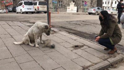 Uzun süre böyle bekledi! Başından ayrılmadı