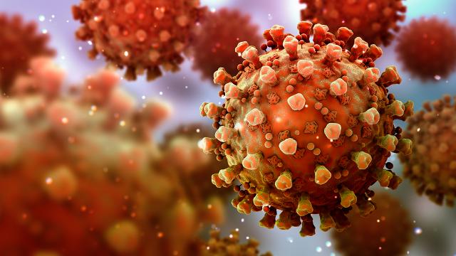 Koronada sıcak gelişme; Türkiye’de kritik seviye!