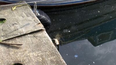 Korkutan manzara! İple bağlanmış halde bulundu