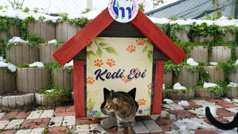 Mustafakemalpaşa kedi evleri ile donatıldı Mustafakemalpaşa Belediyesi, sahipsiz sokak kedilerinin zorlu kış şartlarını daha güvenli