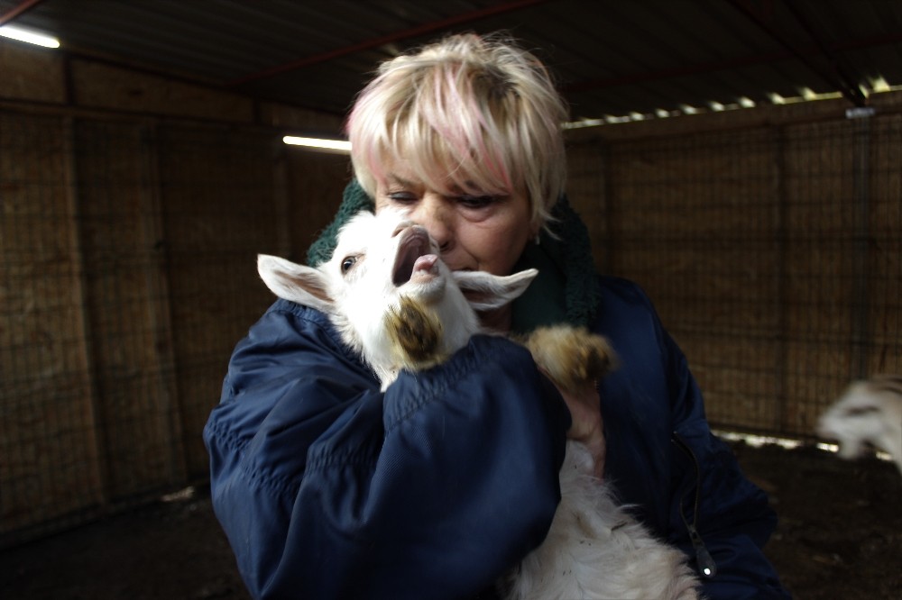 Beslediği keçilerin ne etinden ne de sütünden faydalanıyor