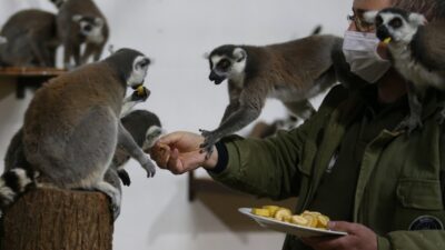 Bursa’dan güzel görüntüler! Kışı böyle geçiriyorlar