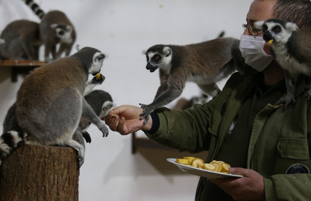 Bursa’dan güzel görüntüler! Kışı böyle geçiriyorlar