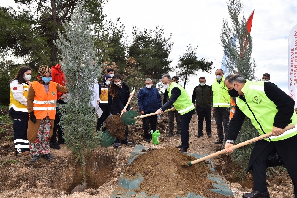 Bursa’da sağlık çalışanları adına hatıra ormanı oluşturuldu