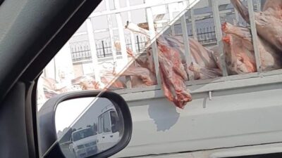 Şehrin göbeğinde skandal! Etleri inşaat malzemesi taşır gibi taşıdılar
