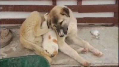 Bursa’da insanın içini ısıtan görüntüler