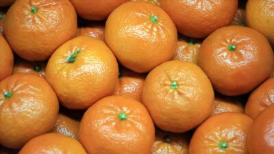 Ocakta fiyatı en fazla artan ürün belli oldu