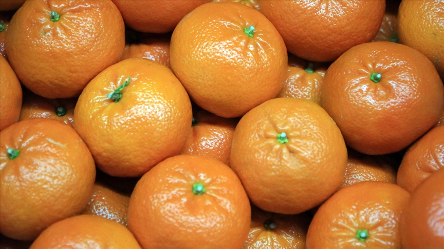 Ocakta fiyatı en fazla artan ürün belli oldu