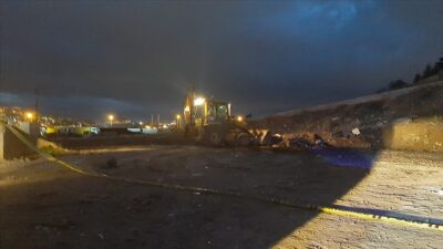 Vahşet! Boş arazide 20 ölü köpek bulundu