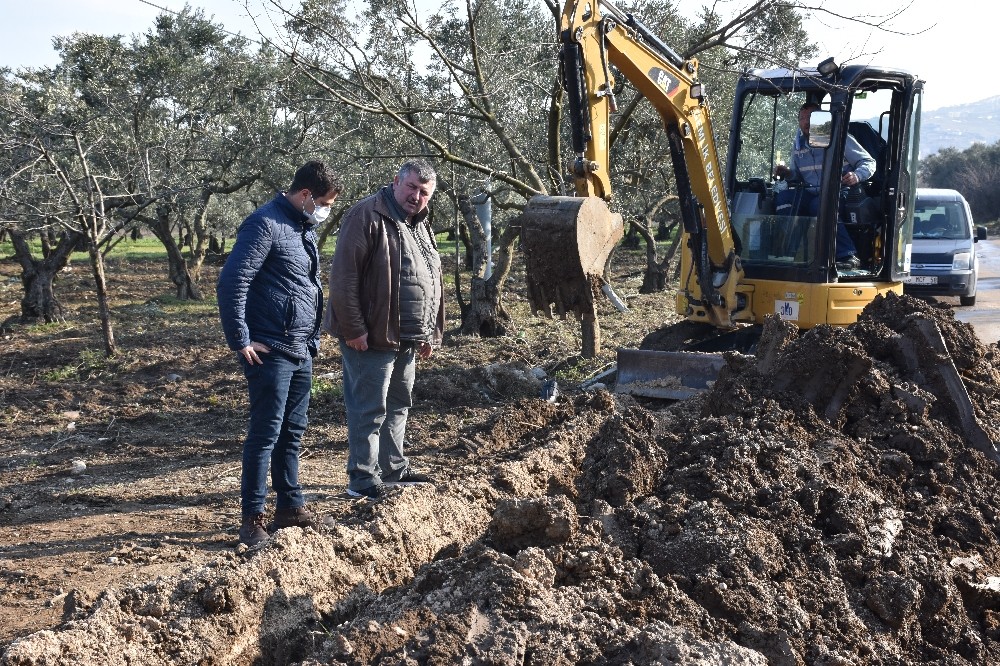 Umurbey’de zeytinlikler suya kavuşuyor