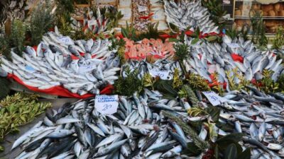 Uskumru tezgahların en çok tercih edilen balığı oldu