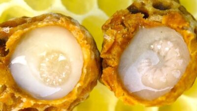 Bursalı genç Çin’e rakip oldu!