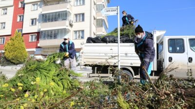 15 bin ton budama atığı gübre oldu