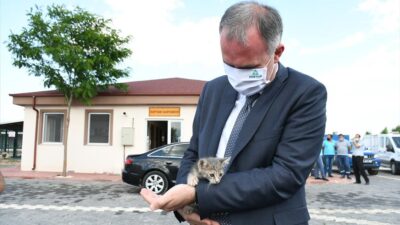 Sahiplenilen hayvanların 1 yıllık muayenesi ücretsiz yapılıyor