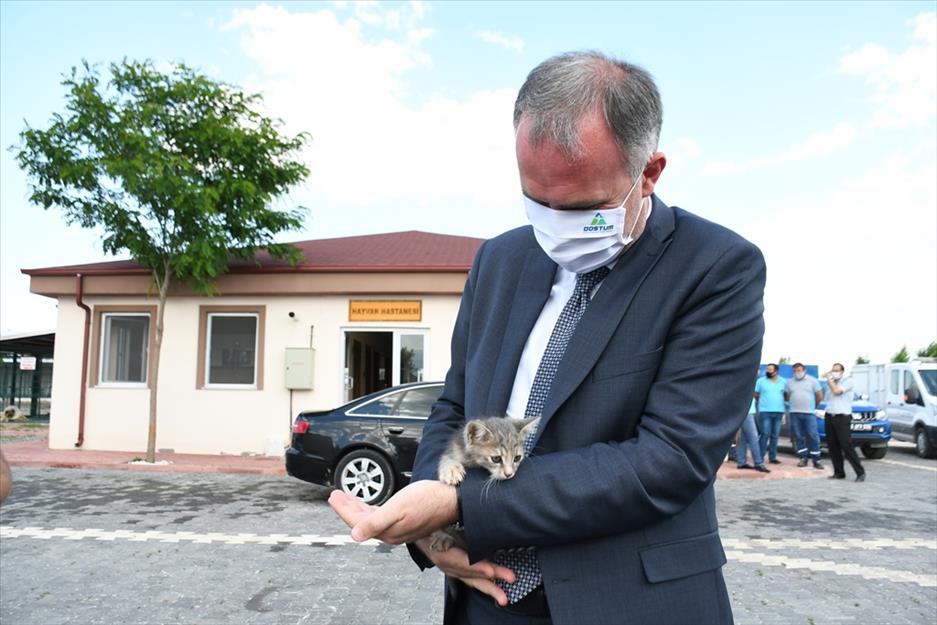 Sahiplenilen hayvanların 1 yıllık muayenesi ücretsiz yapılıyor