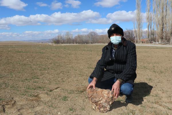 Tarlada buldu! 180 bin dolara sattı